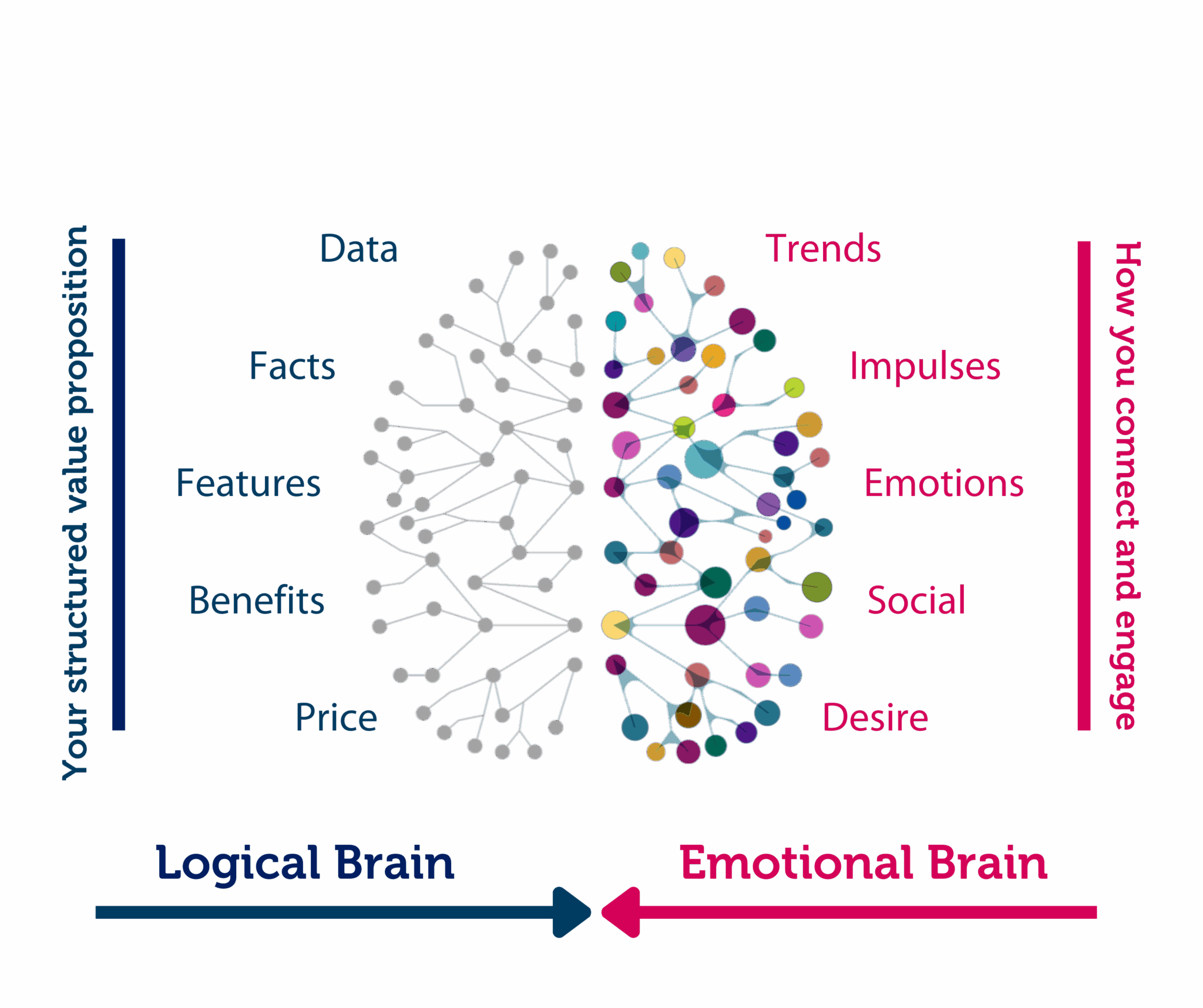 Logical brain versus emotional brain: your structured value proposition (Data, Facts, Features, Benefits, Price) on the left; how you connect and engage (Trends, Impulses, Emotions, Social, Desire) on the right.